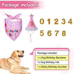 Bandana anniversaire Yicostar pour chien, double-face et facile à porter.