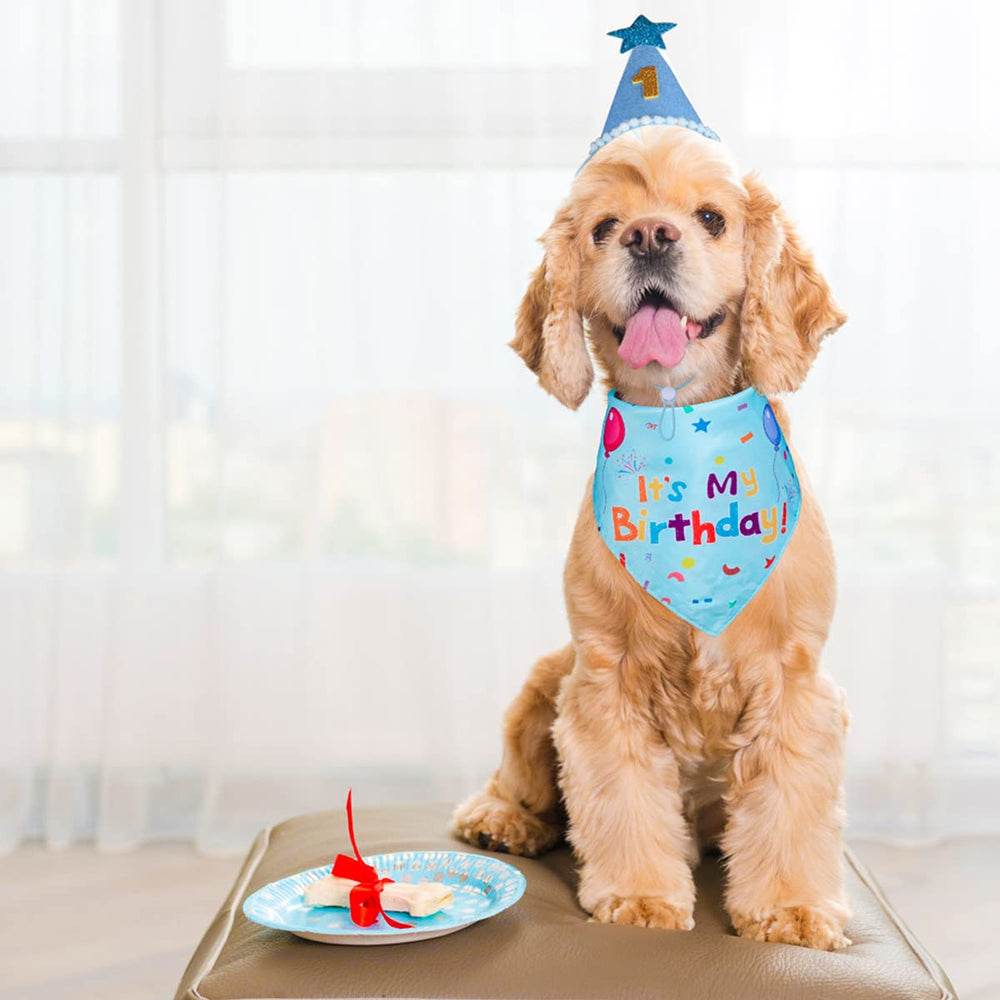 Chapeau Yicostar d’anniversaire, diamètre 3 pouces et hauteur 4,4 pouces, ajustable.