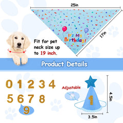 Chapeau anniversaire Yicostar bleu sur chien, réglable pour un confort durable