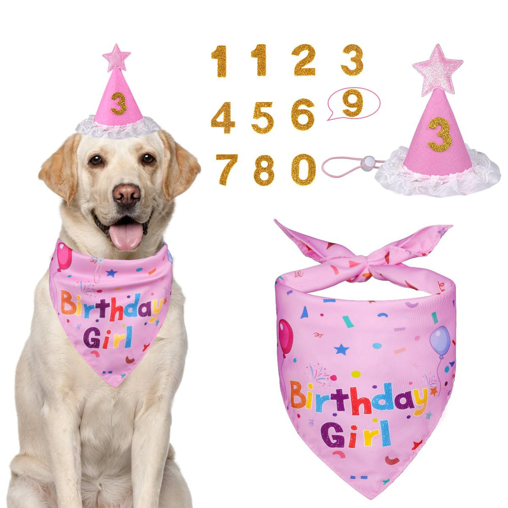 Chapeau d'anniversaire Yicostar avec chiffres 0-8 pour chien, parfait pour les photos festives