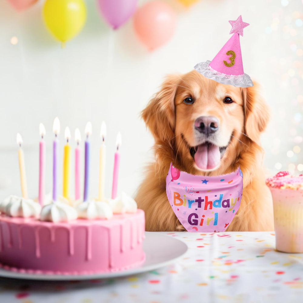 Matière coton doux Yicostar, bien respirant pour chien.