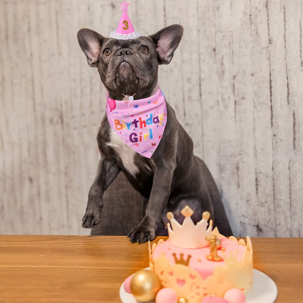 Décoration rose pour chien, cadeau idéal pour fête ou souvenir
