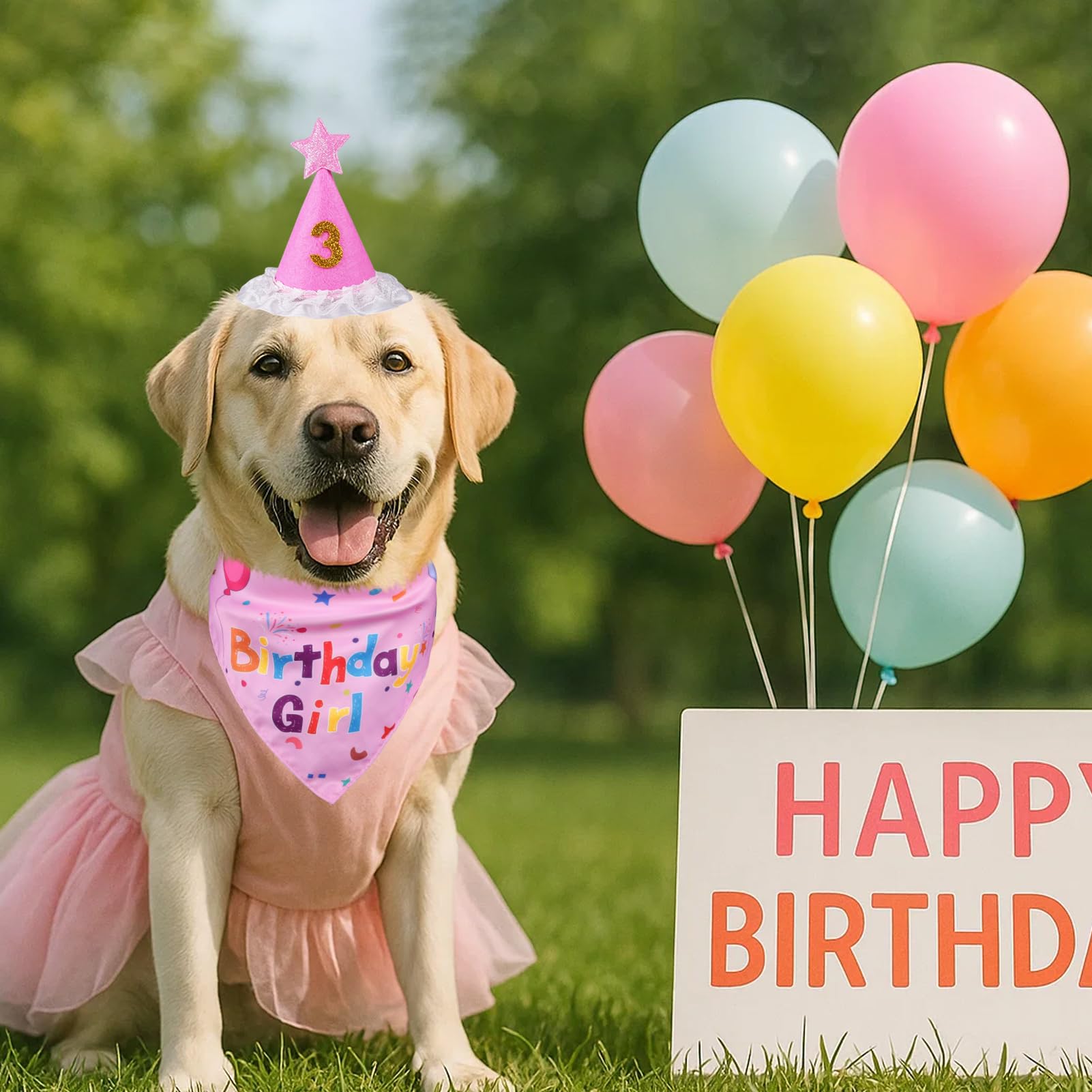 Ensemble anniversaire rose Yicostar pour chien, prêt pour photos.