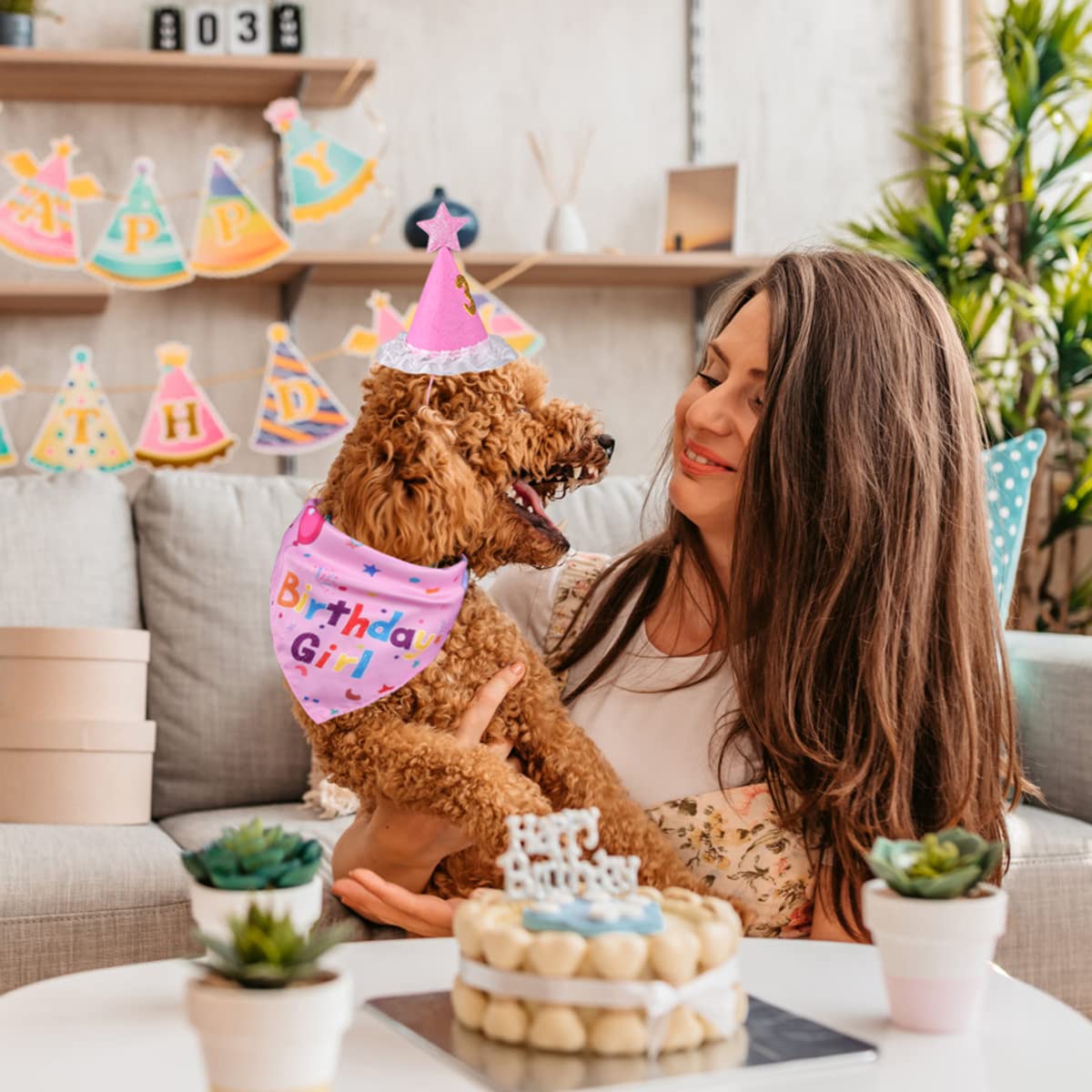Chien prêt pour les séances photo anniversaire avec Yicostar
