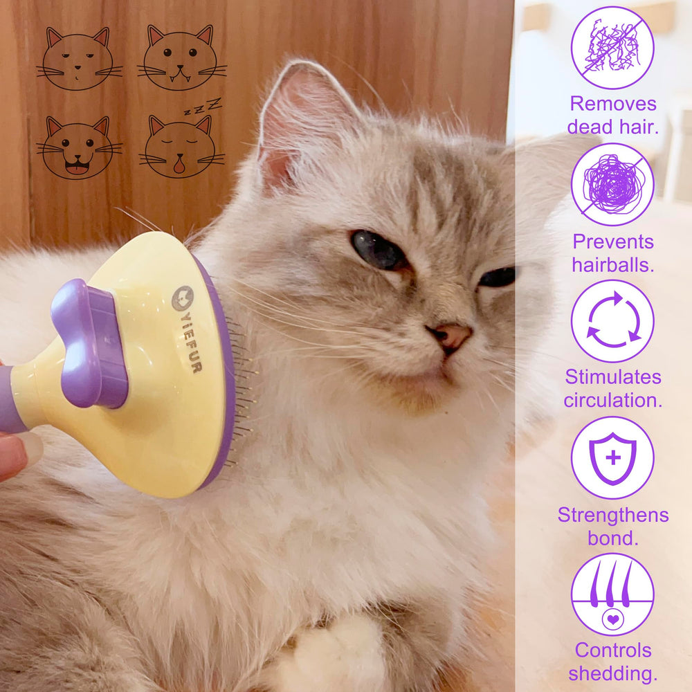 YiEFUR brosse chat têtes silicone, douceur pour peau sensible.