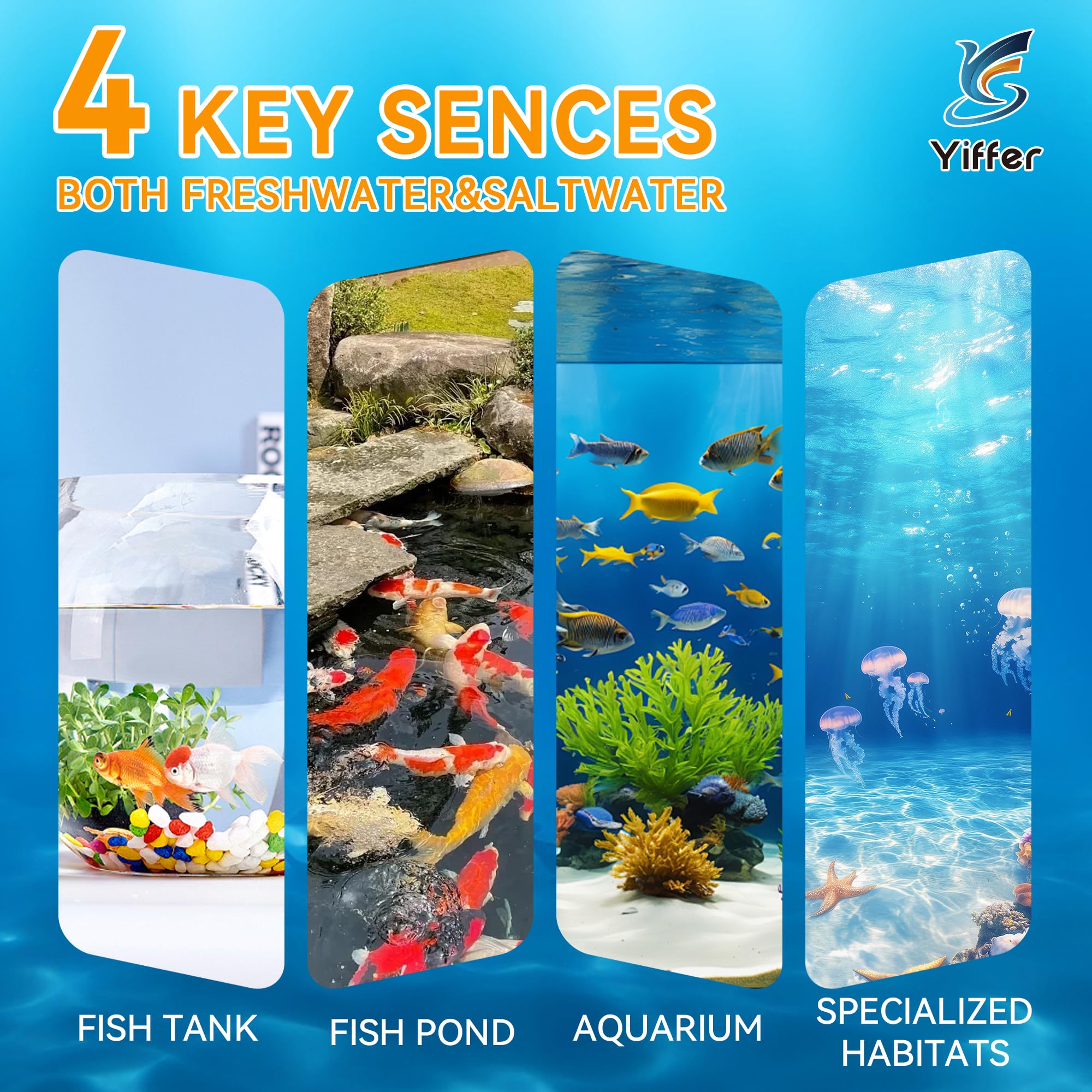 Bandelettes Yiffer – nitrates: détection des nitrates pour poissons.