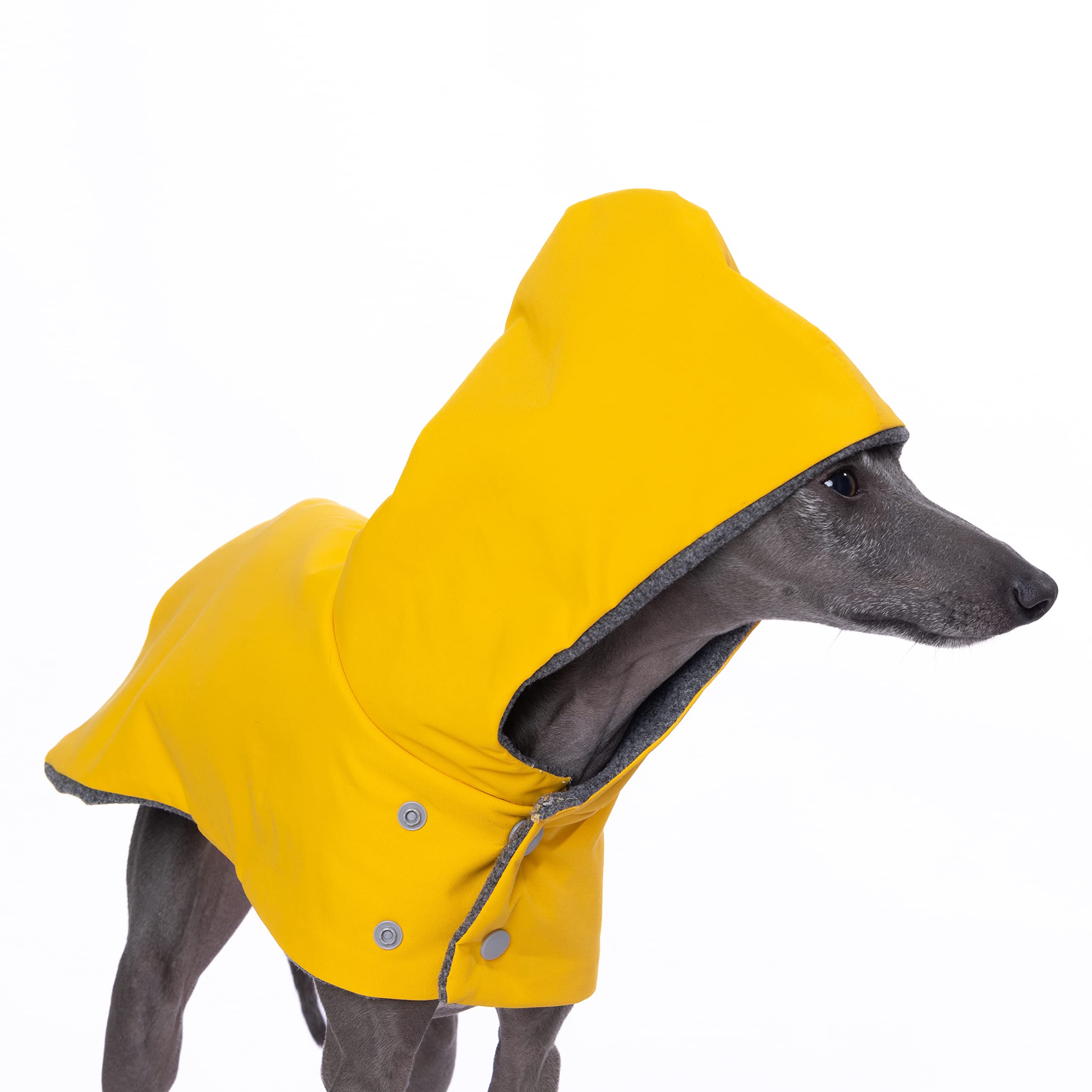 Protection contre la pluie adaptée pour les sorties et loisirs.