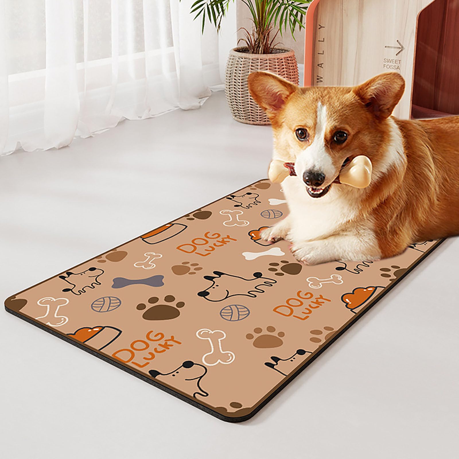 Tapis YIKANGHENG, poudre de diatomée absorbante et nettoyage facile.