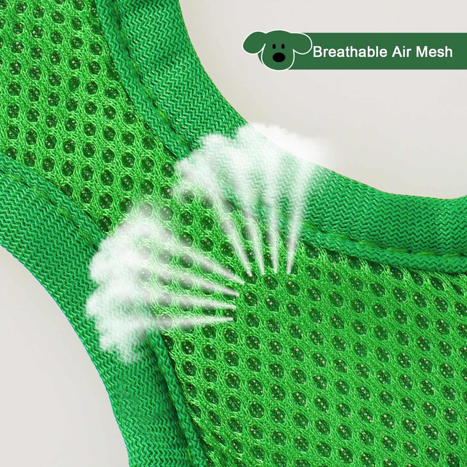 Ensemble harnais et laisse YIMEIS pour une allure coordonnée et pratique.