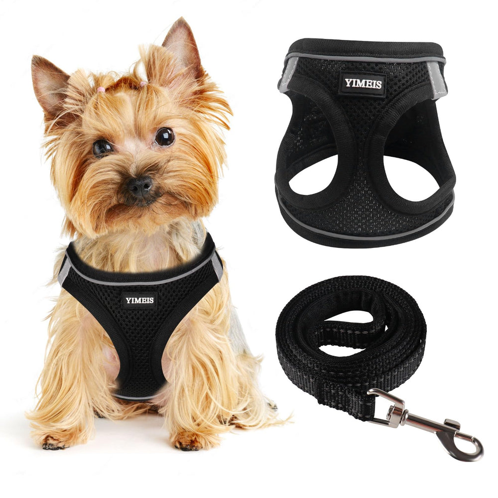 Harnais YIMEIS pour petit chien, vue avant, ajustement confortable pendant les promenades.