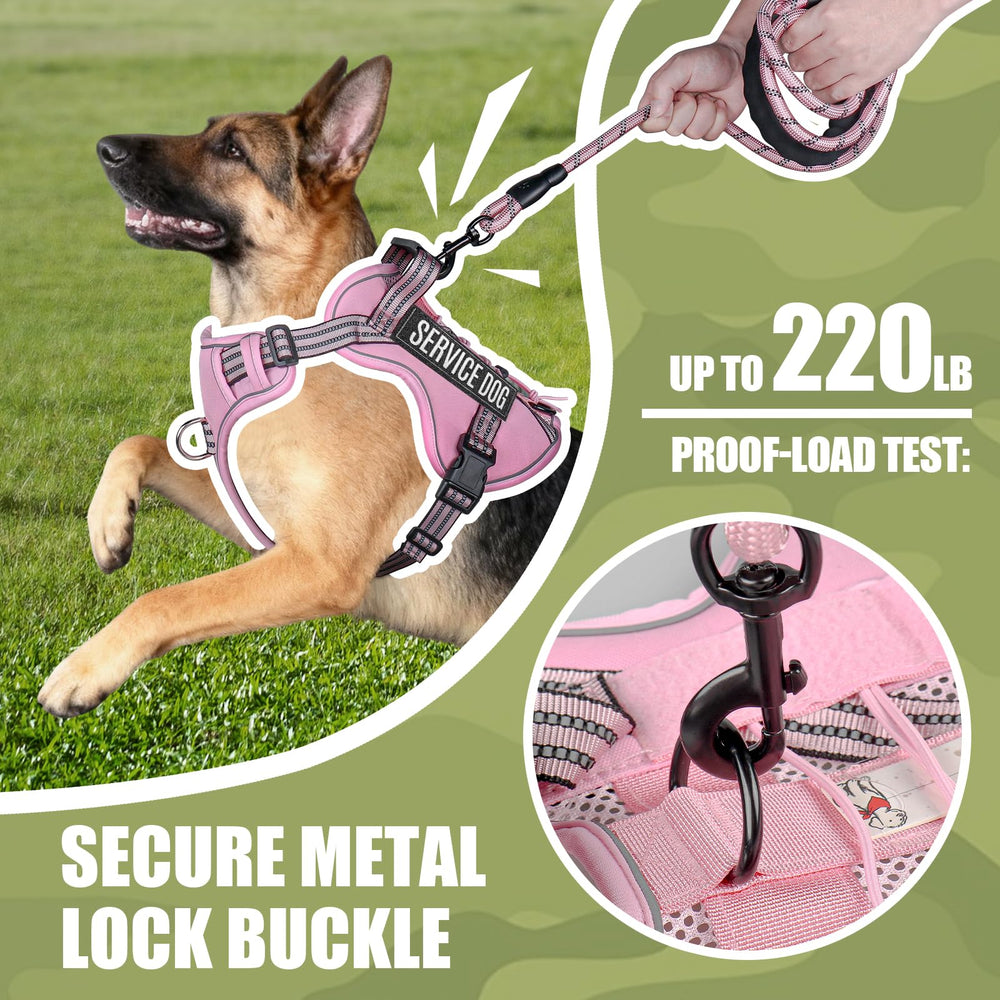 Laisse tactique Yimeis pour chien moyen, parfaite pour promenades quotidiennes.