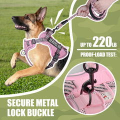 Laisse tactique Yimeis pour chien moyen, parfaite pour promenades quotidiennes.