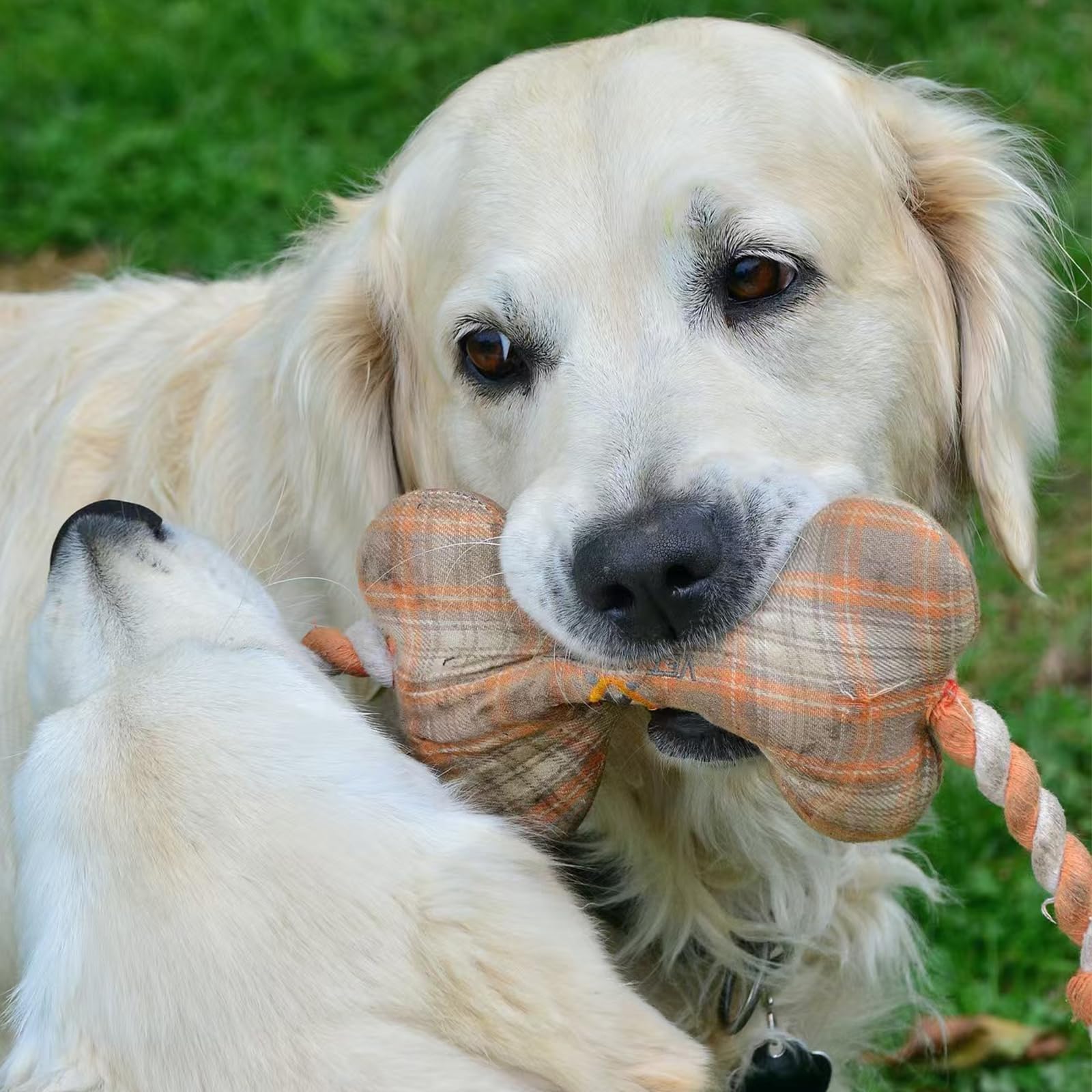 Sifflets YINCL remplacement pour jouets chien, 30 mm, renouvellement ludique du jouet.