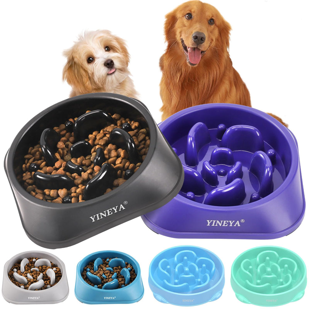 Bol lent YINEYA pour chien moyen, ensemble 2 pièces, encourage une ingestion plus lente