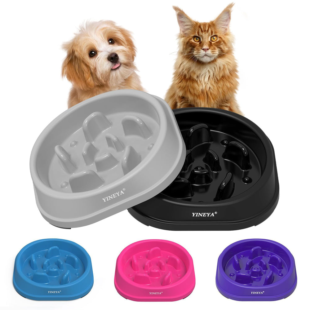 Bol ralentisseur YINEYA ensemble, pratique pour nourrir chiens et chats lentement