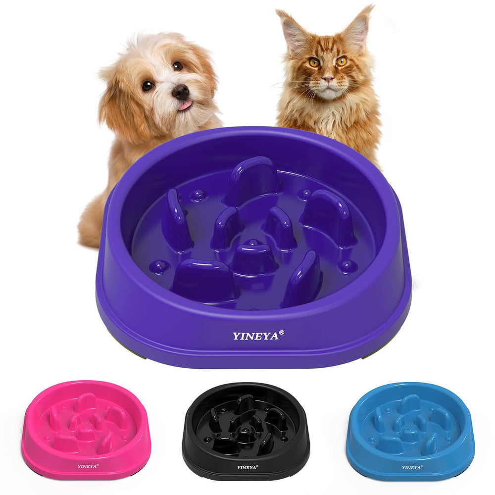 YINEYA mangeoire lente pour chat, favorise une dégustation plus calme