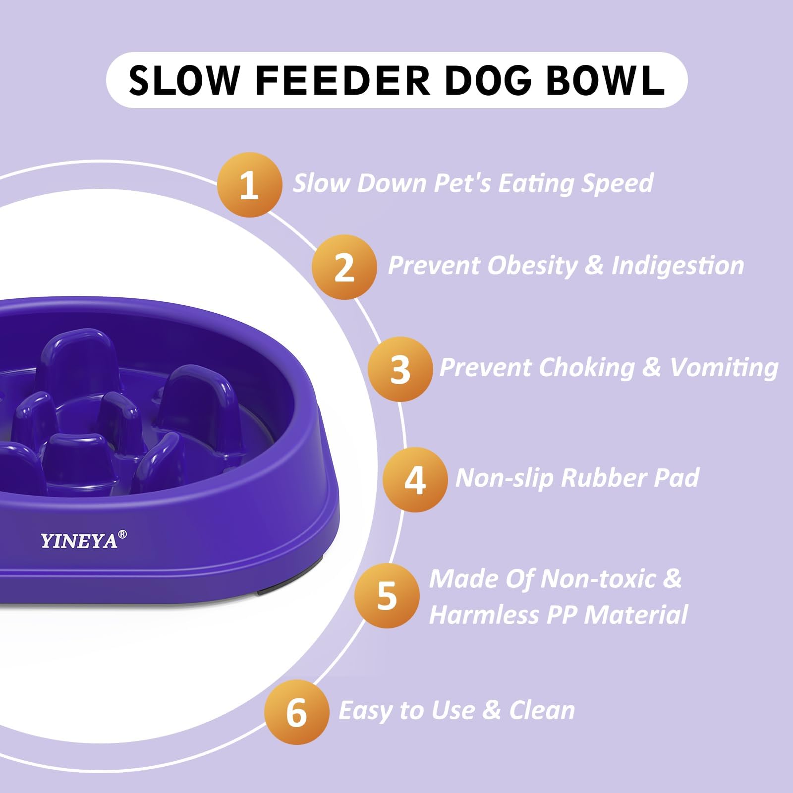 YINEYA mangeoire lente pour petit chien, aide à manger lentement et sereinement