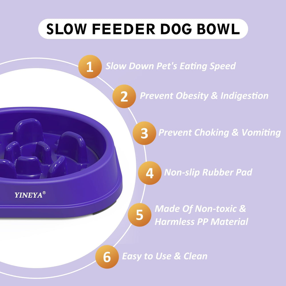 YINEYA mangeoire lente pour petit chien, aide à manger lentement et sereinement
