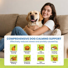 Ensemble de deux diffuseurs Yingsu pour calmer votre chien