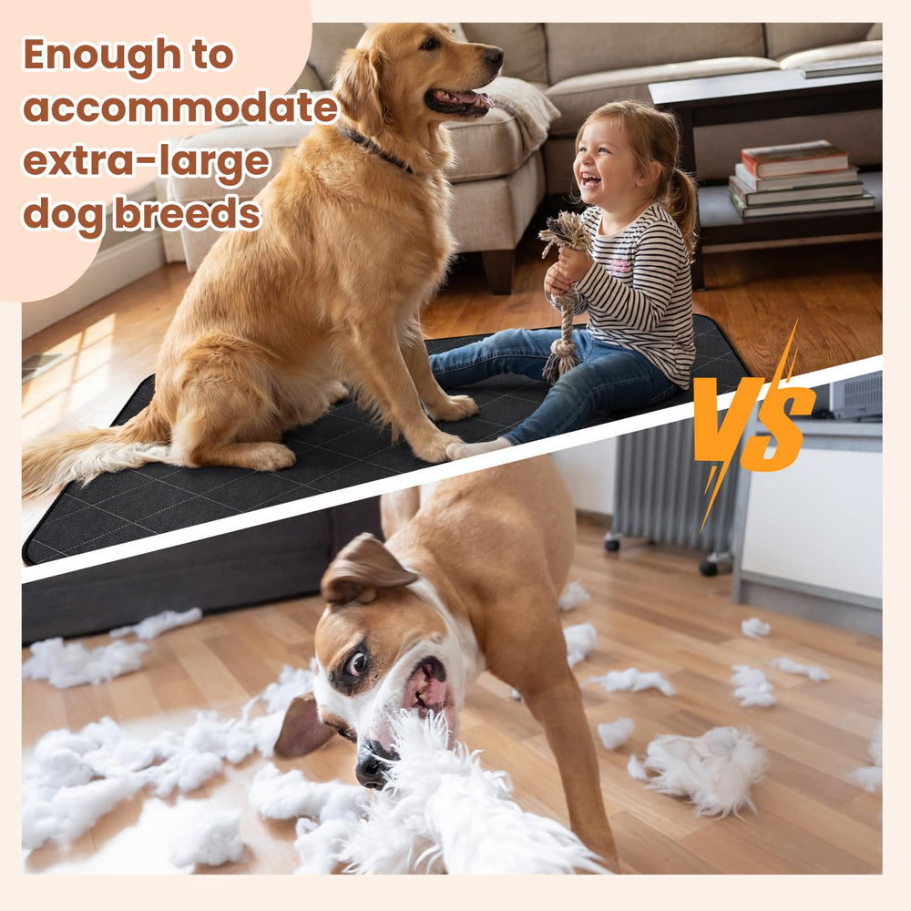 Tapis grand format Yinkin 120 x 90 cm — adapté aux grands chiens et espaces.