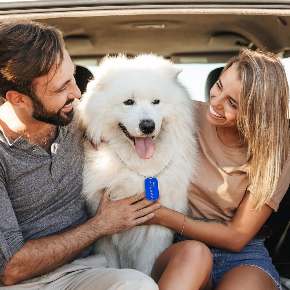 Idéal pour chien: plaques d'identification attachables et sécurisées.