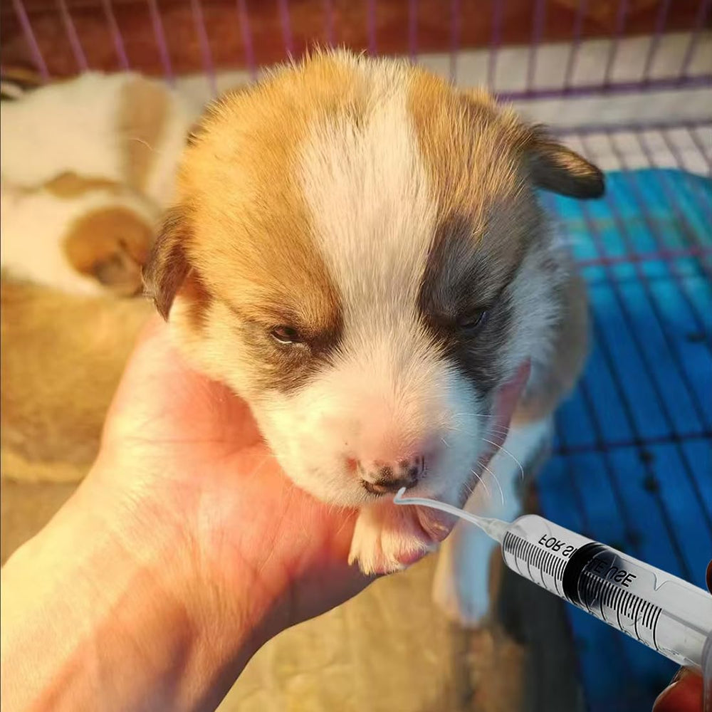 Embout sphérique Yiqianhome pour faciliter l'alimentation des petits animaux