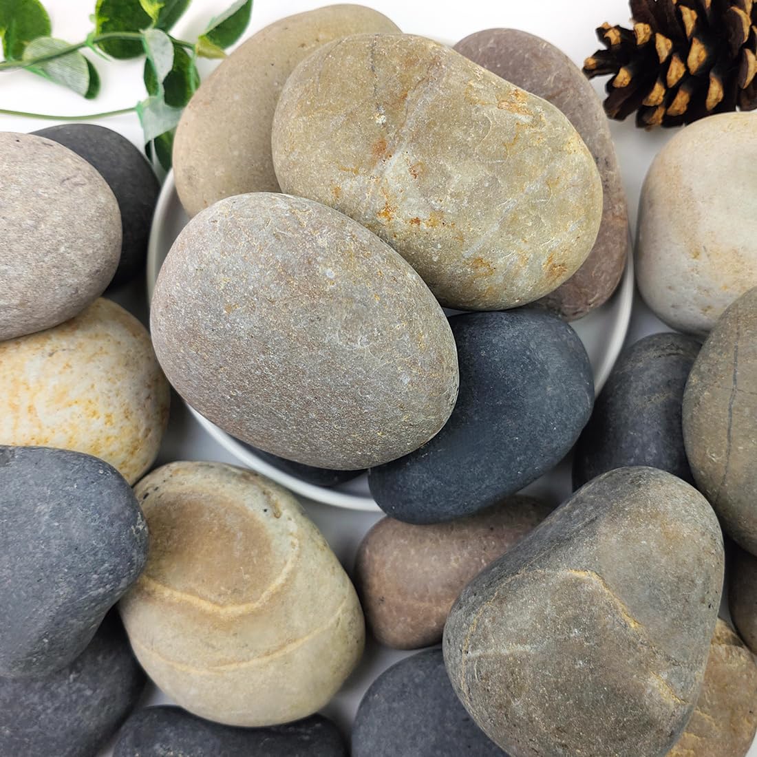 Galet YISZM 3-4 pouces pour jardin, esthétique naturelle et stabilité des plantes.