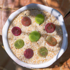 Écosystème doux grâce au sable beige YISZM.