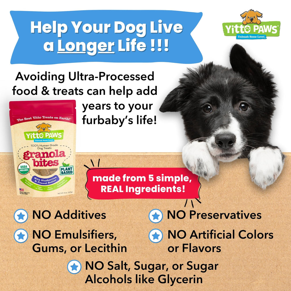 Qualité humaine: friandises véganes pour chiens