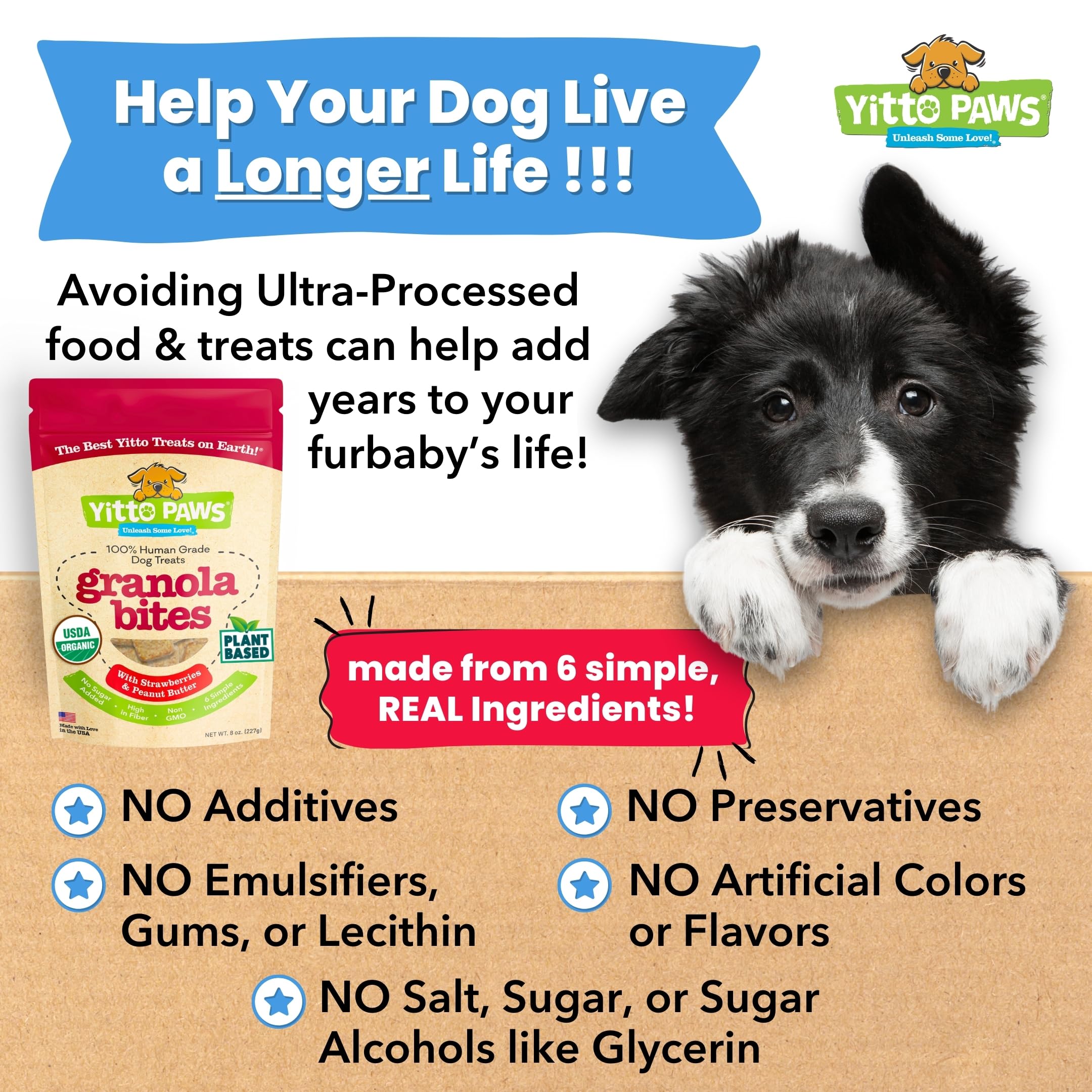 Sachet Yitto Paws 8 onces, emballage pratique pour l’entraînement et les sorties.