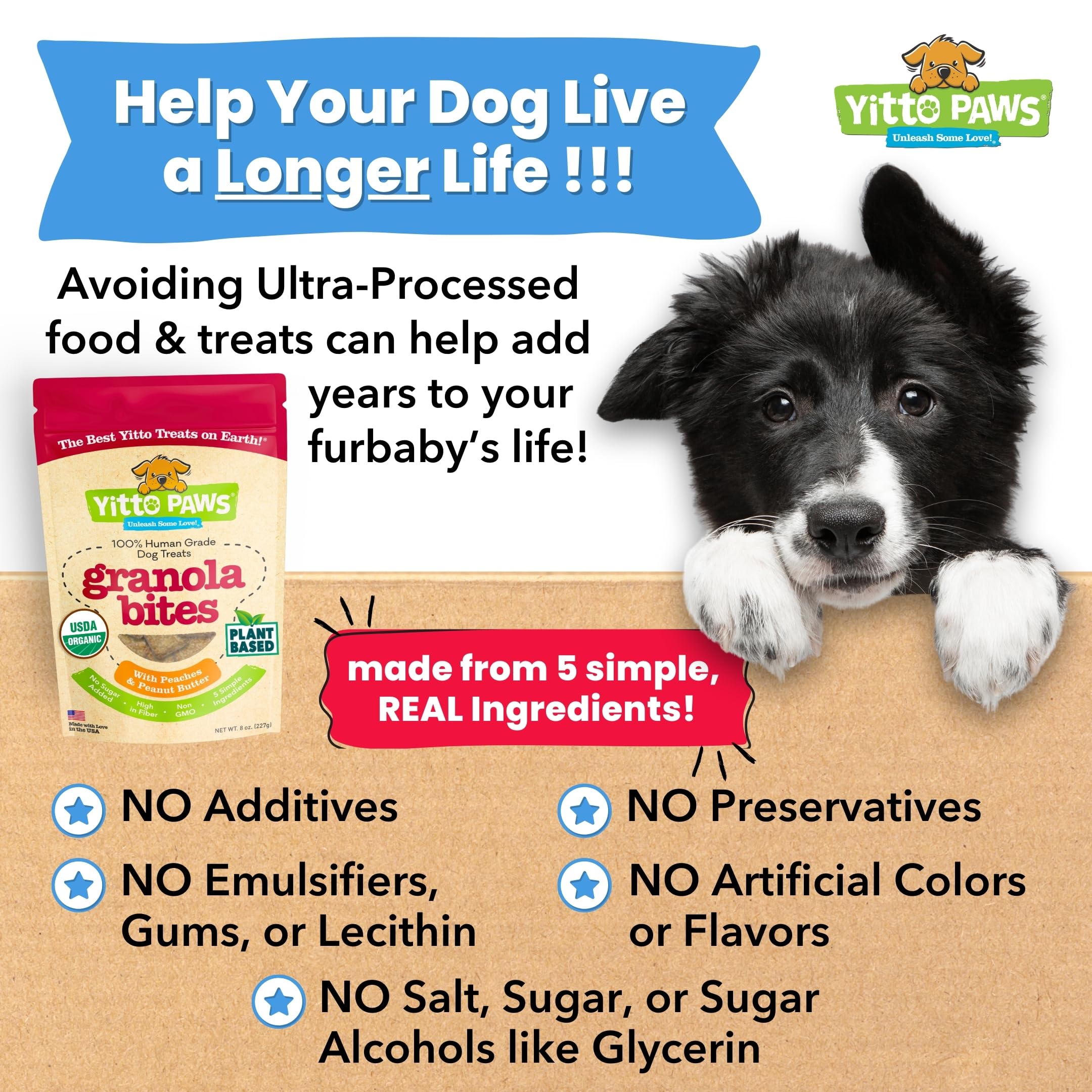 Sachet Yitto Paws sans maïs et sans blé, option naturelle