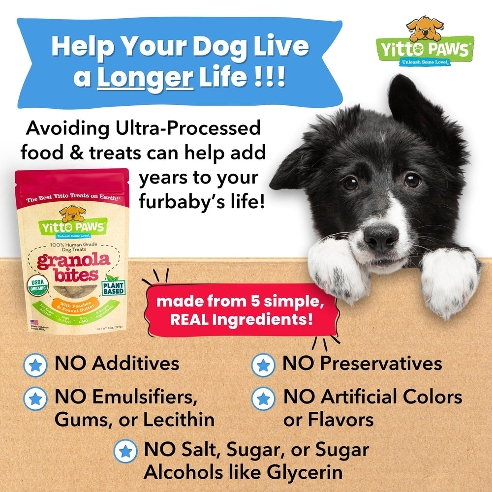 Sachet Yitto Paws sans maïs et sans blé, option naturelle