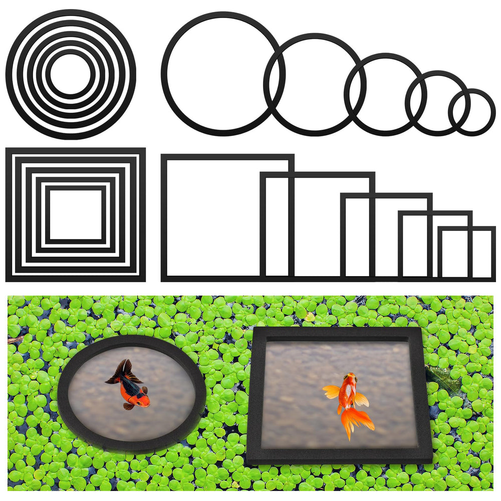 Anneaux flottants Yiyiring pour plantes d'aquarium, maintiennent les plantes en place et facilitent l'observation.