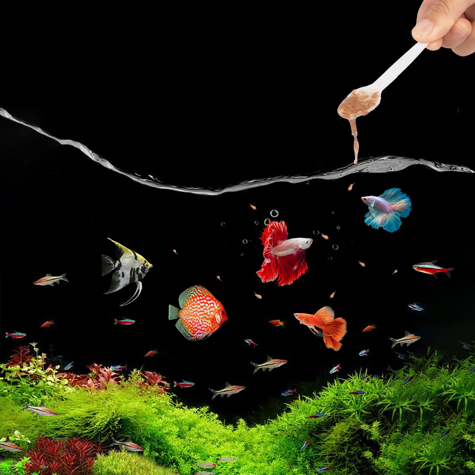 Yizeril Brine Shrimp – triple-stérilisation pour une nourriture sûre.