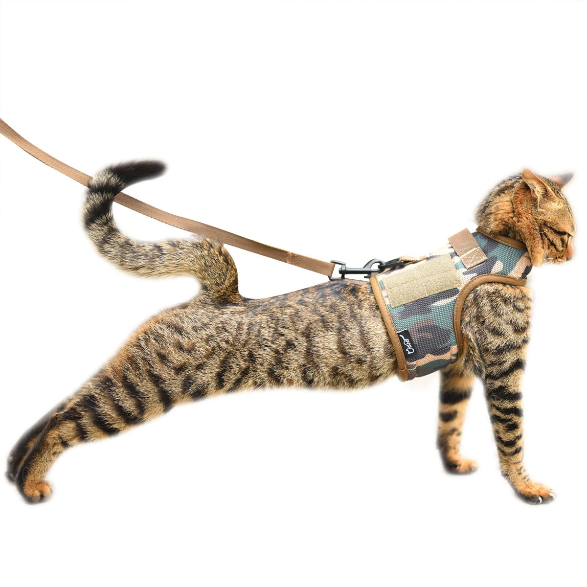 Harnais pour chat Yizhi Miaow en mesh respirant, camouflage vert.