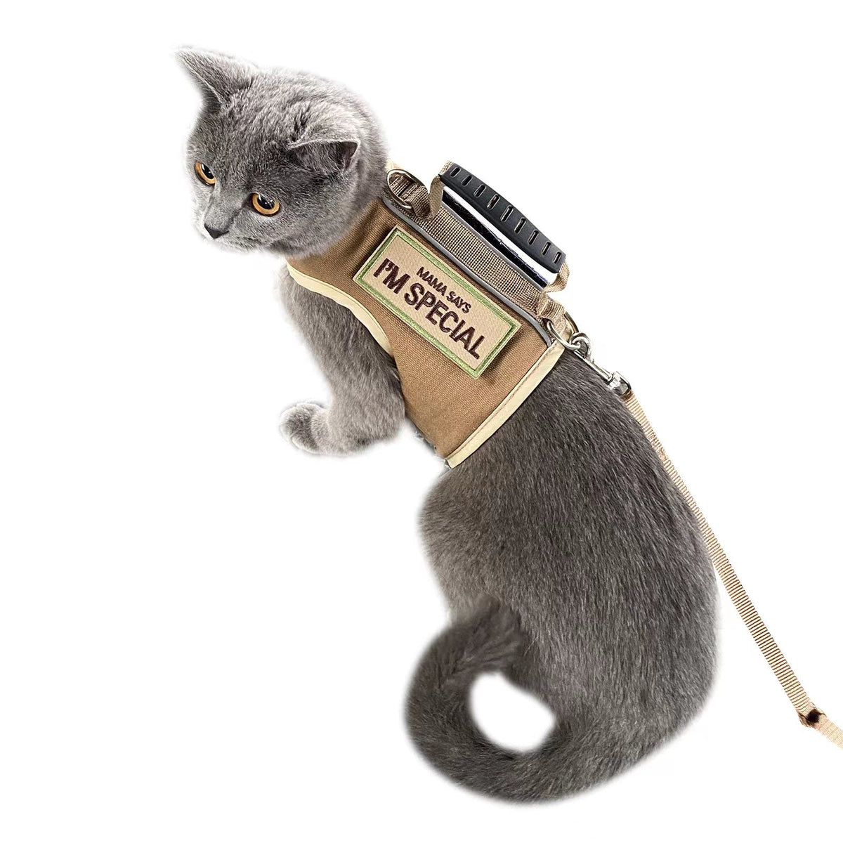 Harnais chat tactique YIZHI MIAOW pour promenade sécurisée et confortable