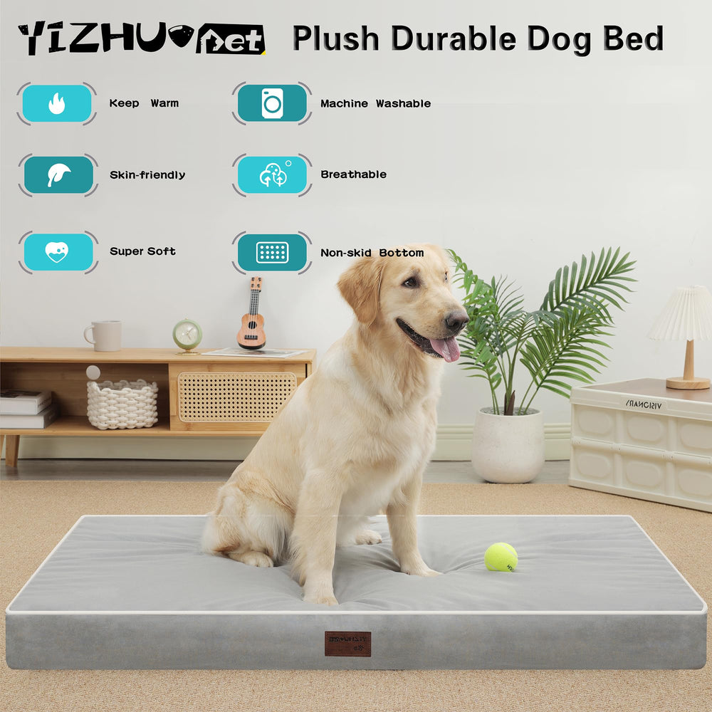 YIZHUOPET mousse orthopédique nid-dabeille pour soutien.