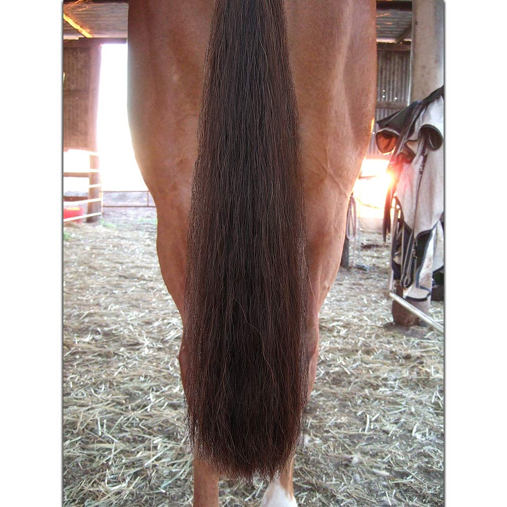 Y.J TAILS cheveux naturels pour un rendu réaliste.