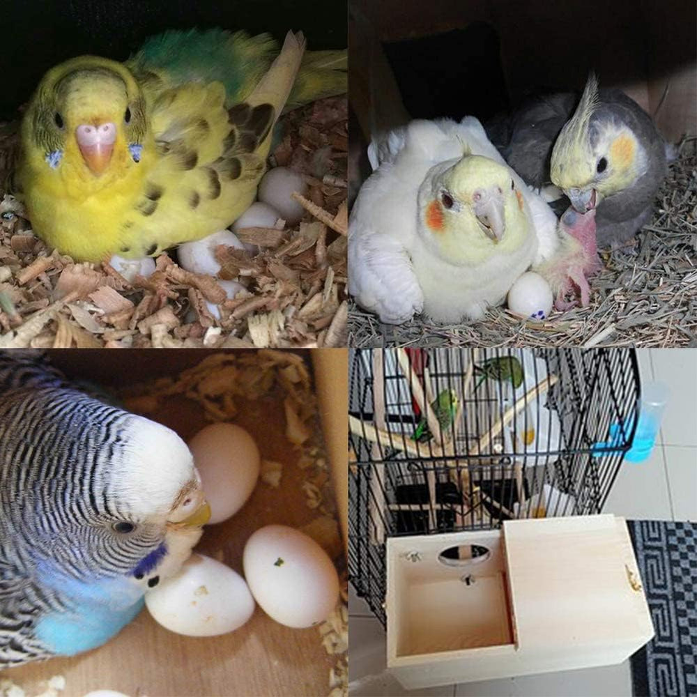 Nid YJJKJ idéal pour les perruches ondulées et autres petits oiseaux.