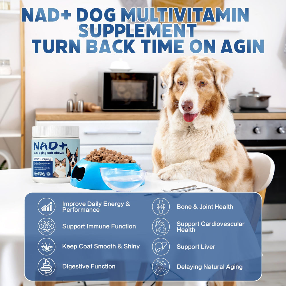 YJOO saveur poulet authentique: friandise appétente pour chien.