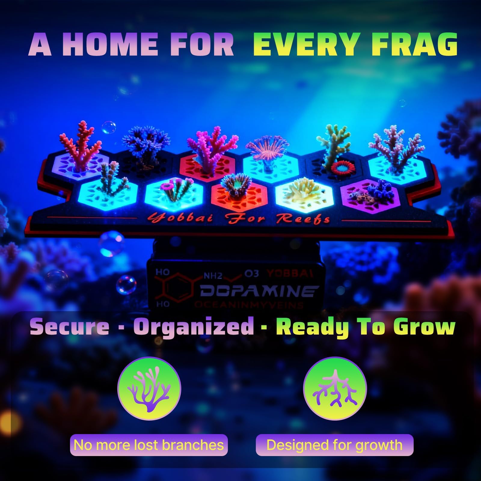 Affichage net des frag YOBBAI dans un nano-aquarium.