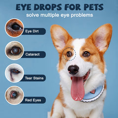 Application quotidienne facile des gouttes oculaires Yocisku pour chiens.