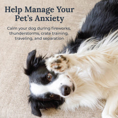 Pawzz Yogasleep: six sons apaisants, choix adaptés à chaque moment.