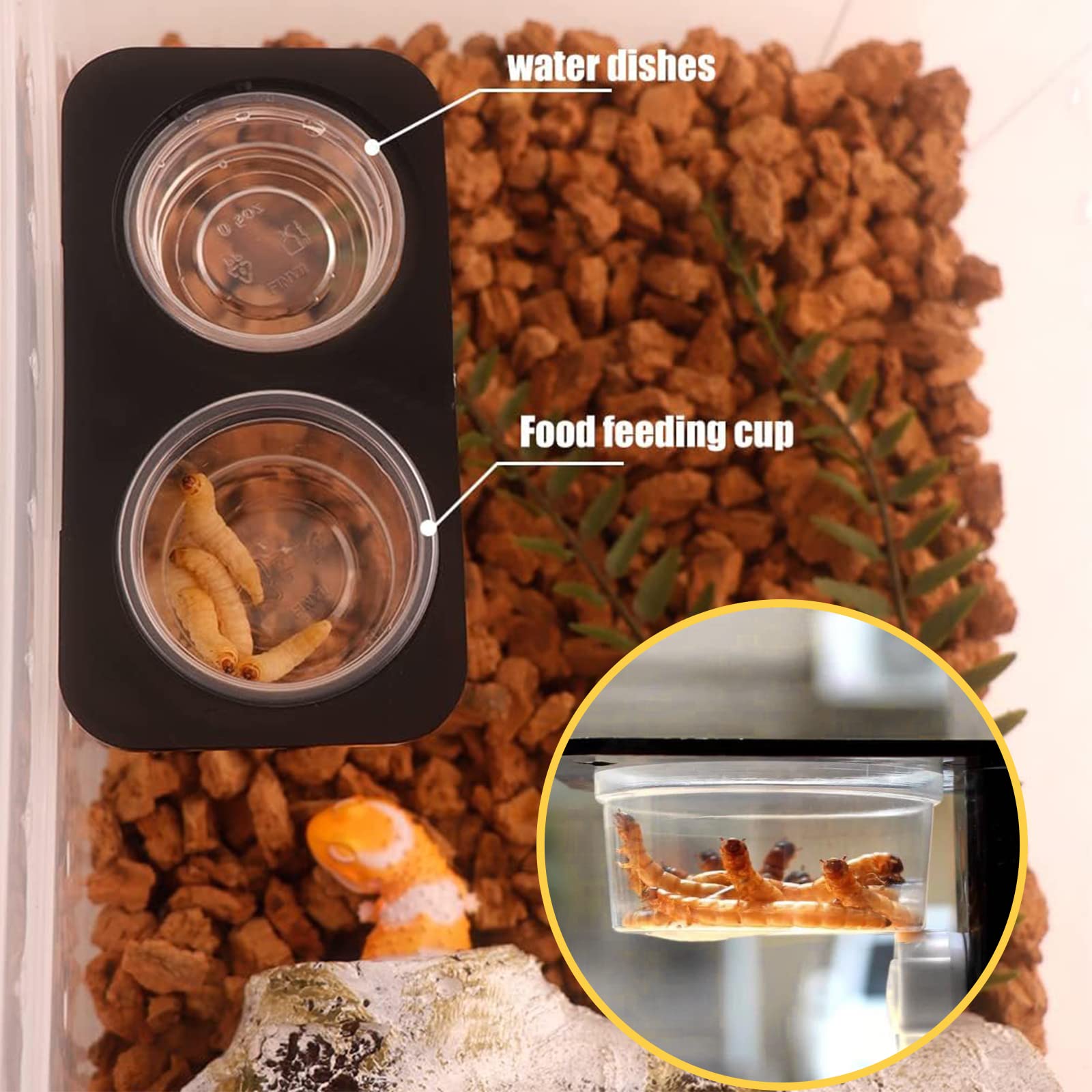 Porte-alimentation YOJOR pour lézard-a-crete, taille adaptée