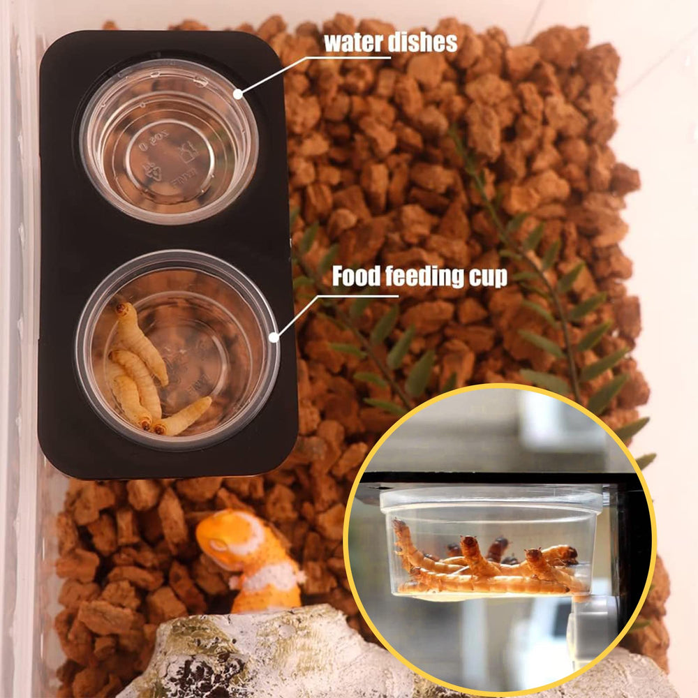 Porte-alimentation YOJOR pour lézard-a-crete, taille adaptée