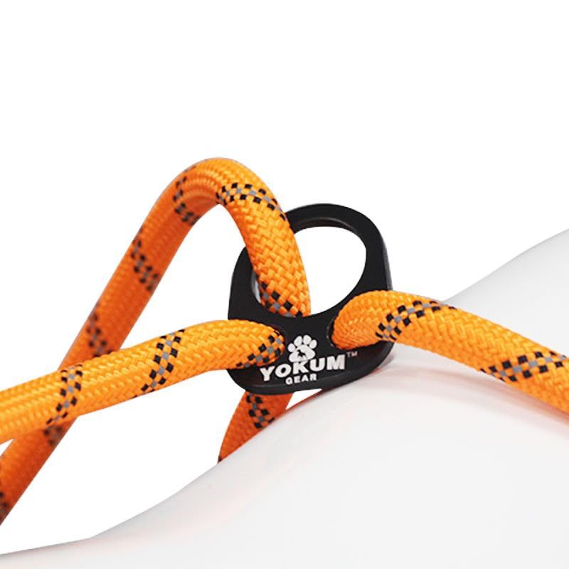 Longe Yokum Gear adaptée à toutes les races: polyvalence et confort.