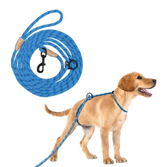 Laisse Yokum Gear anti-tir: design doux pour des promenades sans pression.