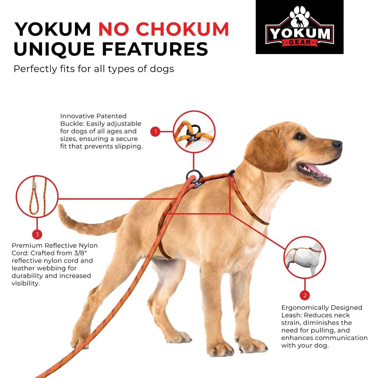 Nylon robuste Yokum Gear: durabilité pour les sorties actives.