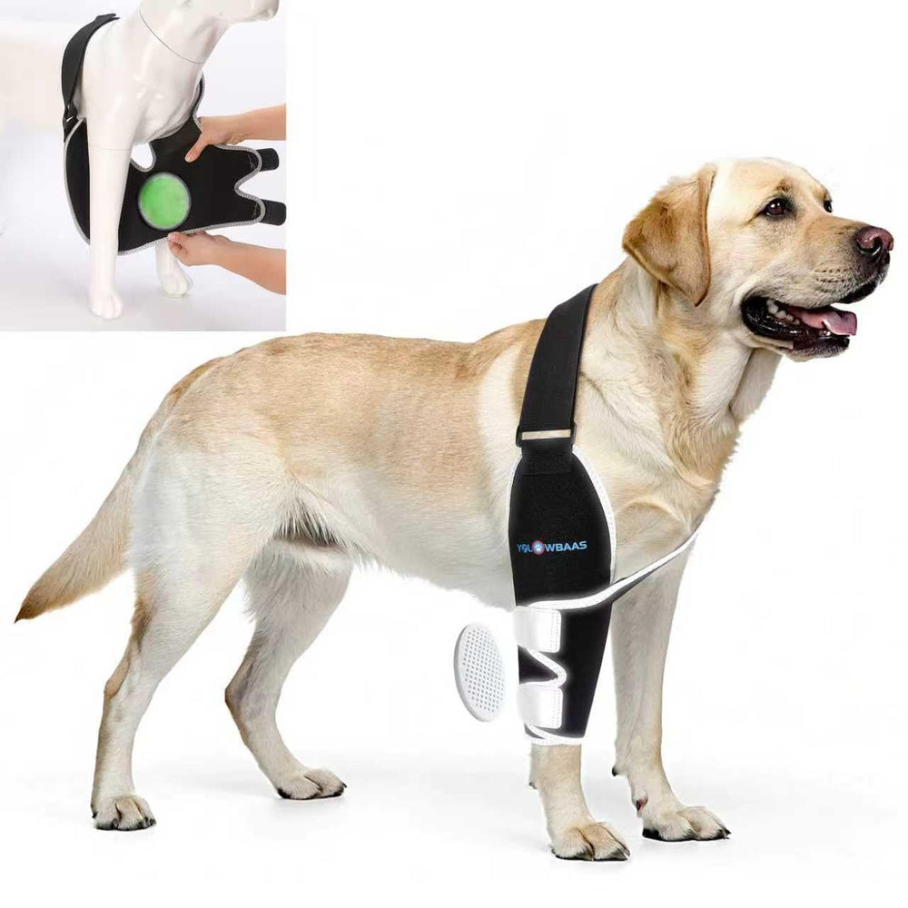 Yolowbaas protège-coude chien avec pack gel pour récupération douce.