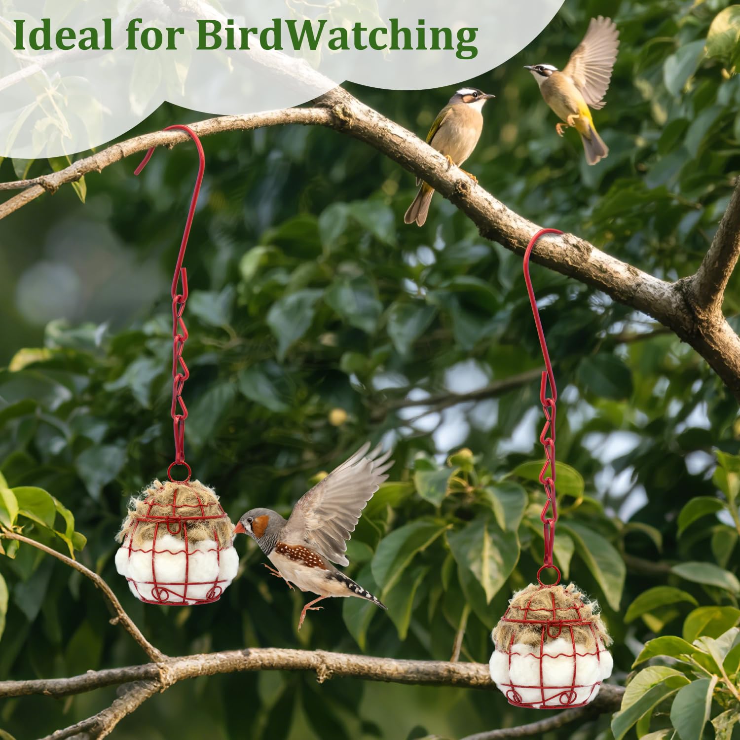 Yomishine coffret cadeau nature pour amoureux des oiseaux.